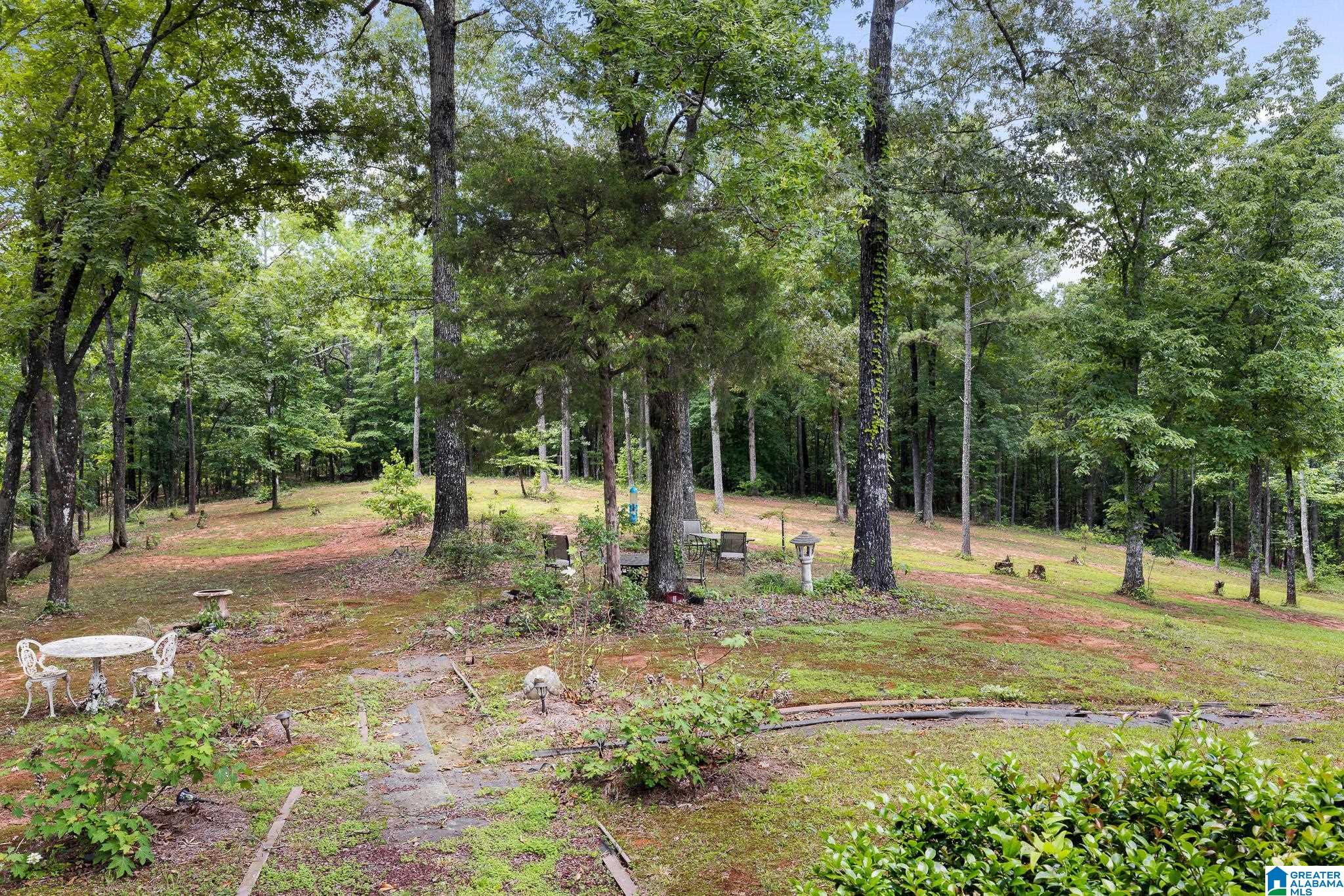 575 Mountain View Lane Springville, AL 35146 - Photo 53 of 84