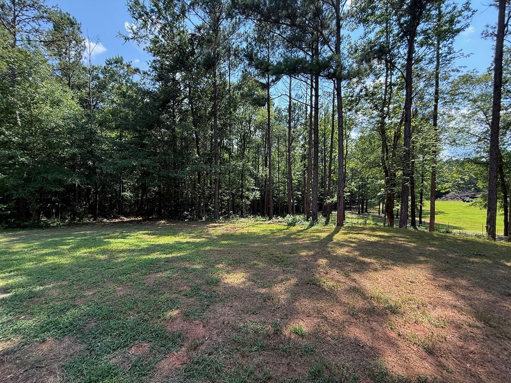 245 Lake Talbot Road Box Springs, GA 31801 - Photo 27 of 31 Gallery Image 27