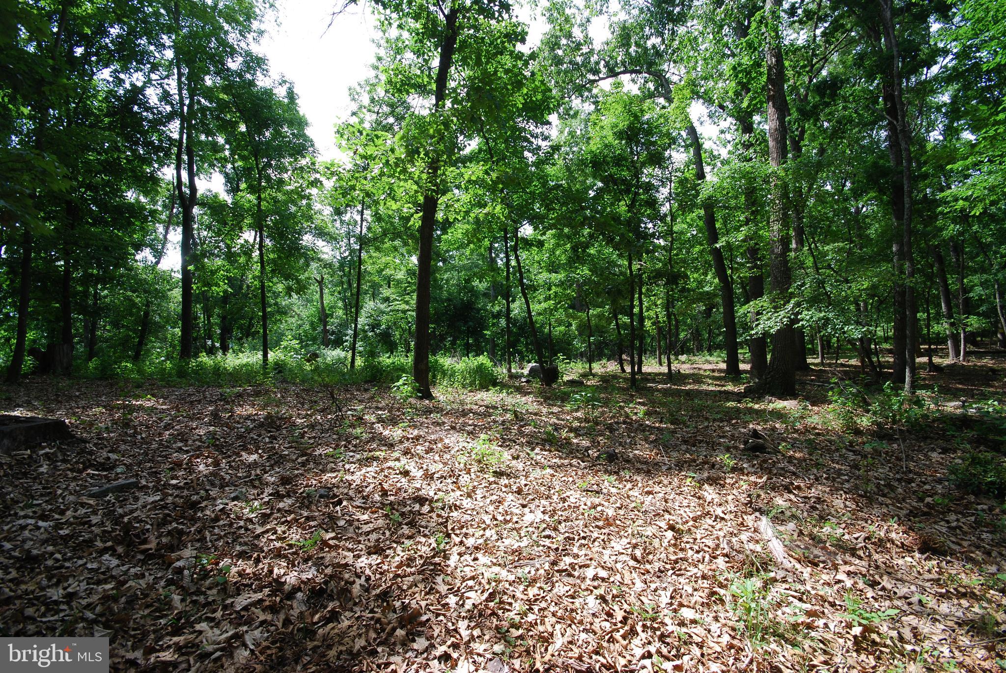 Lot 67 Mill Mountain Road Romney, WV 26757 - Photo 15 of 40