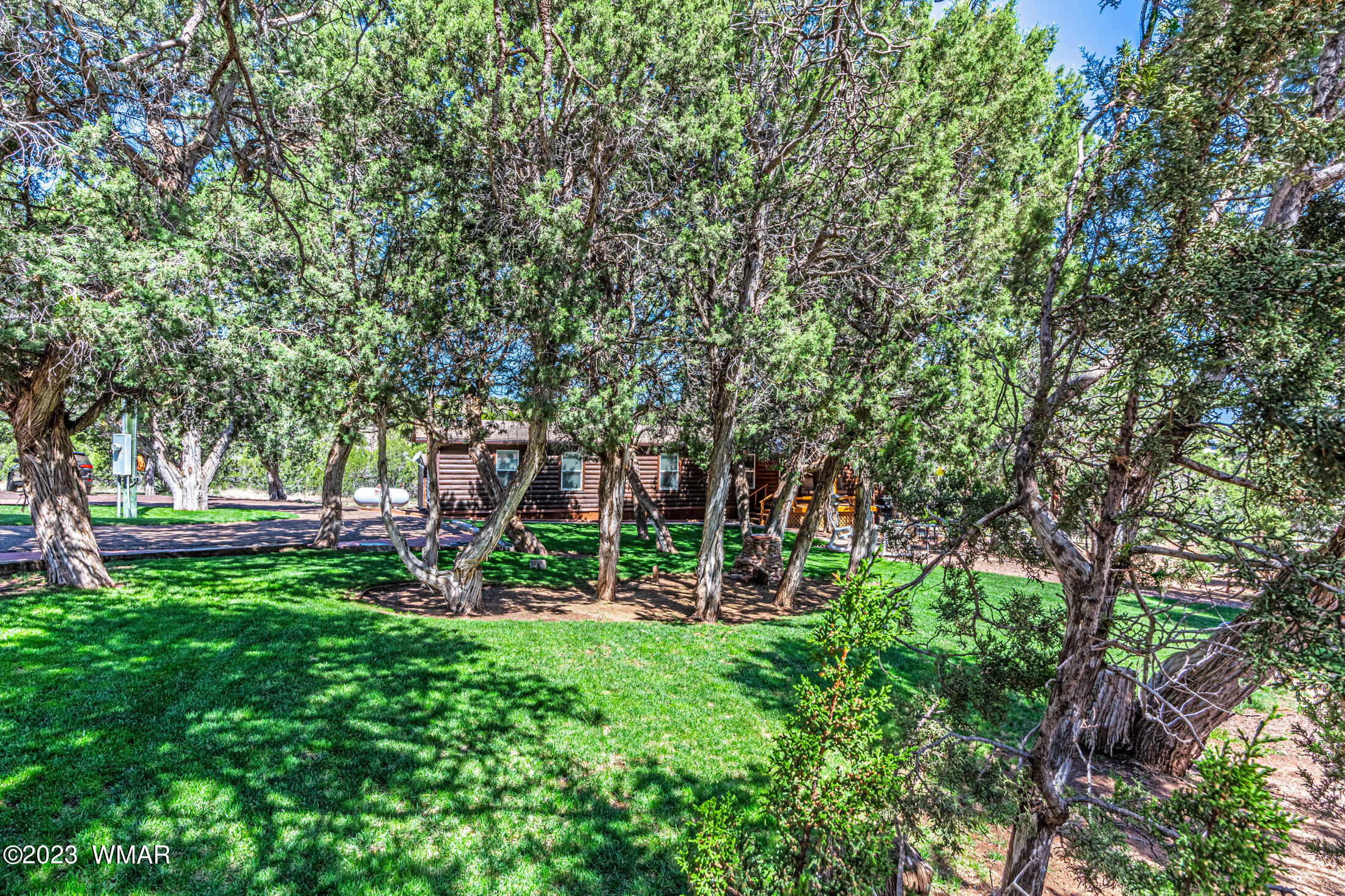 6650 West Burton Road Show Low, AZ 85901 - Photo 3 of 30 Gallery Image 3