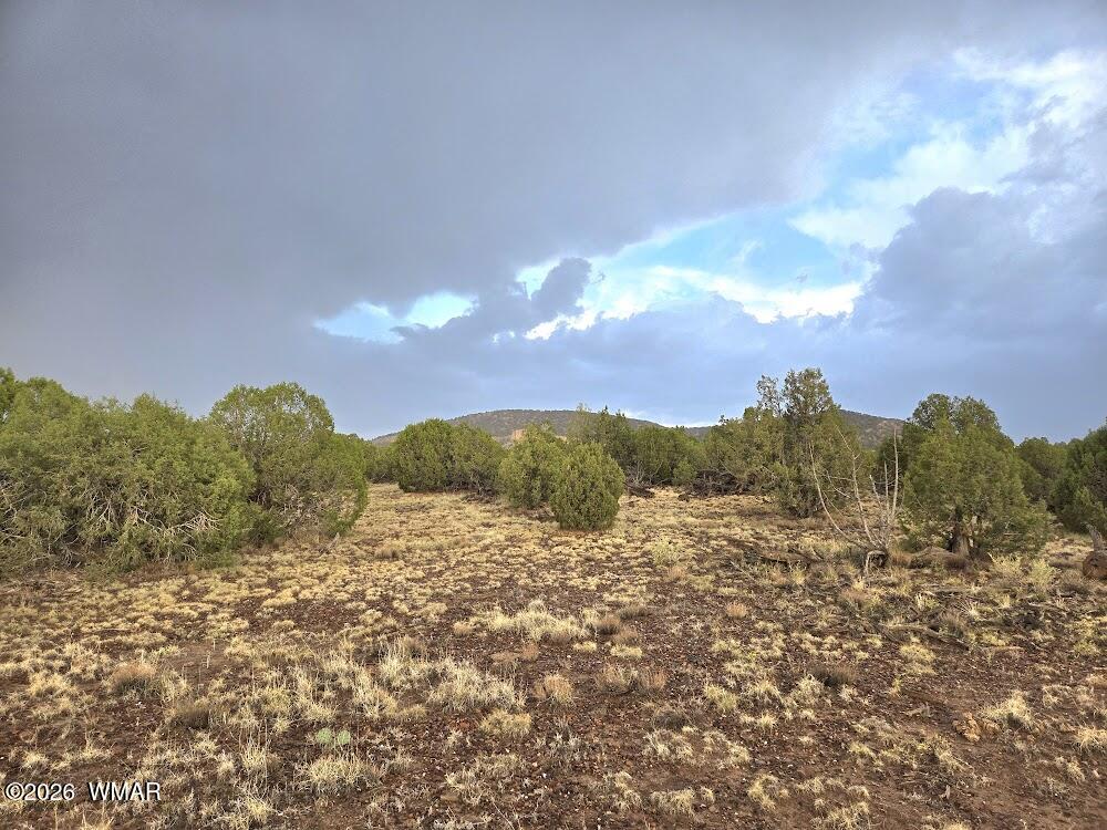 Lot 9 Pinon Valley Ranch Concho, AZ 85924 - Photo 9 of 12