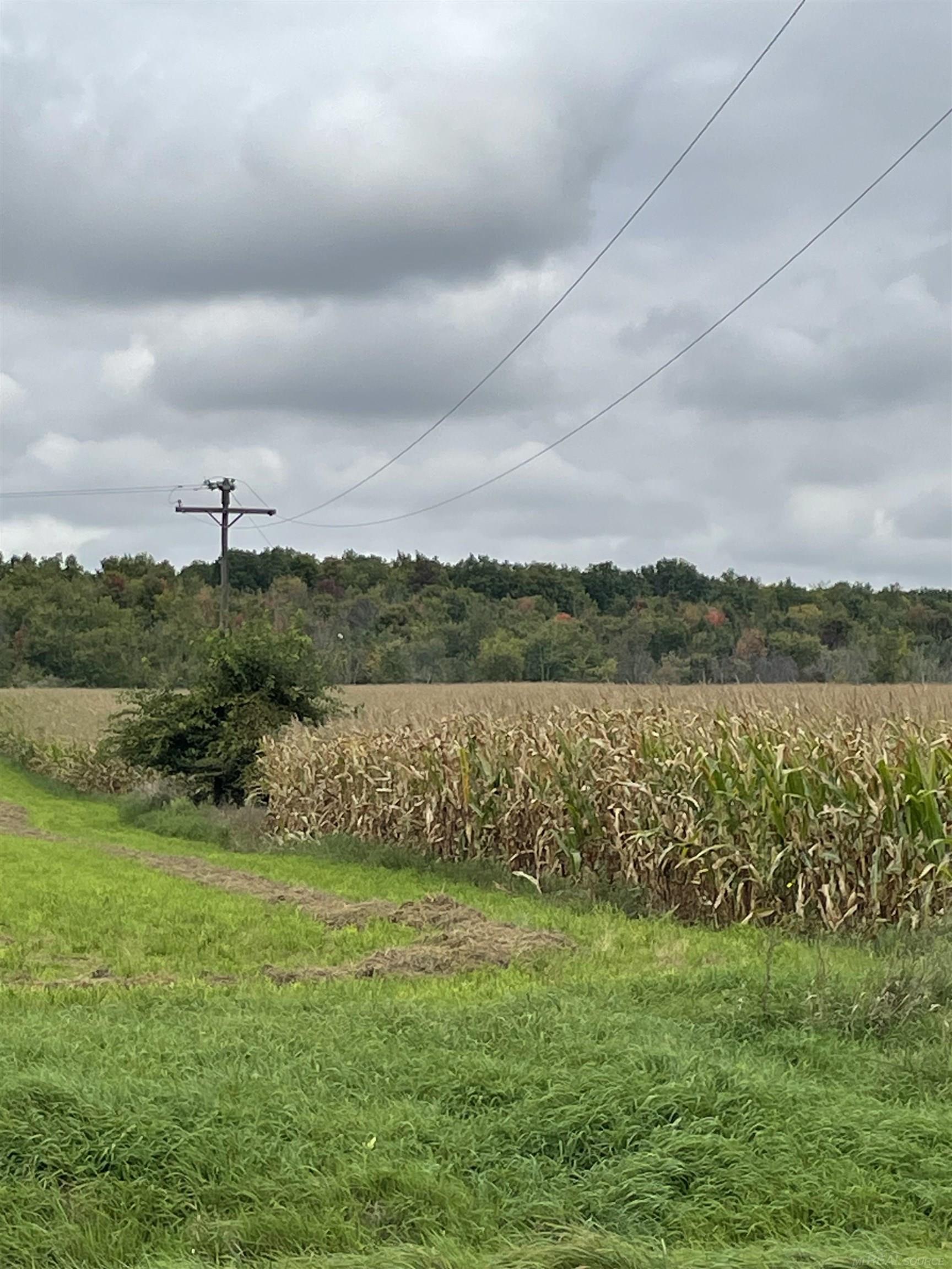 - North Sheridan Road Caro, MI 48723 - Photo 6 of 6