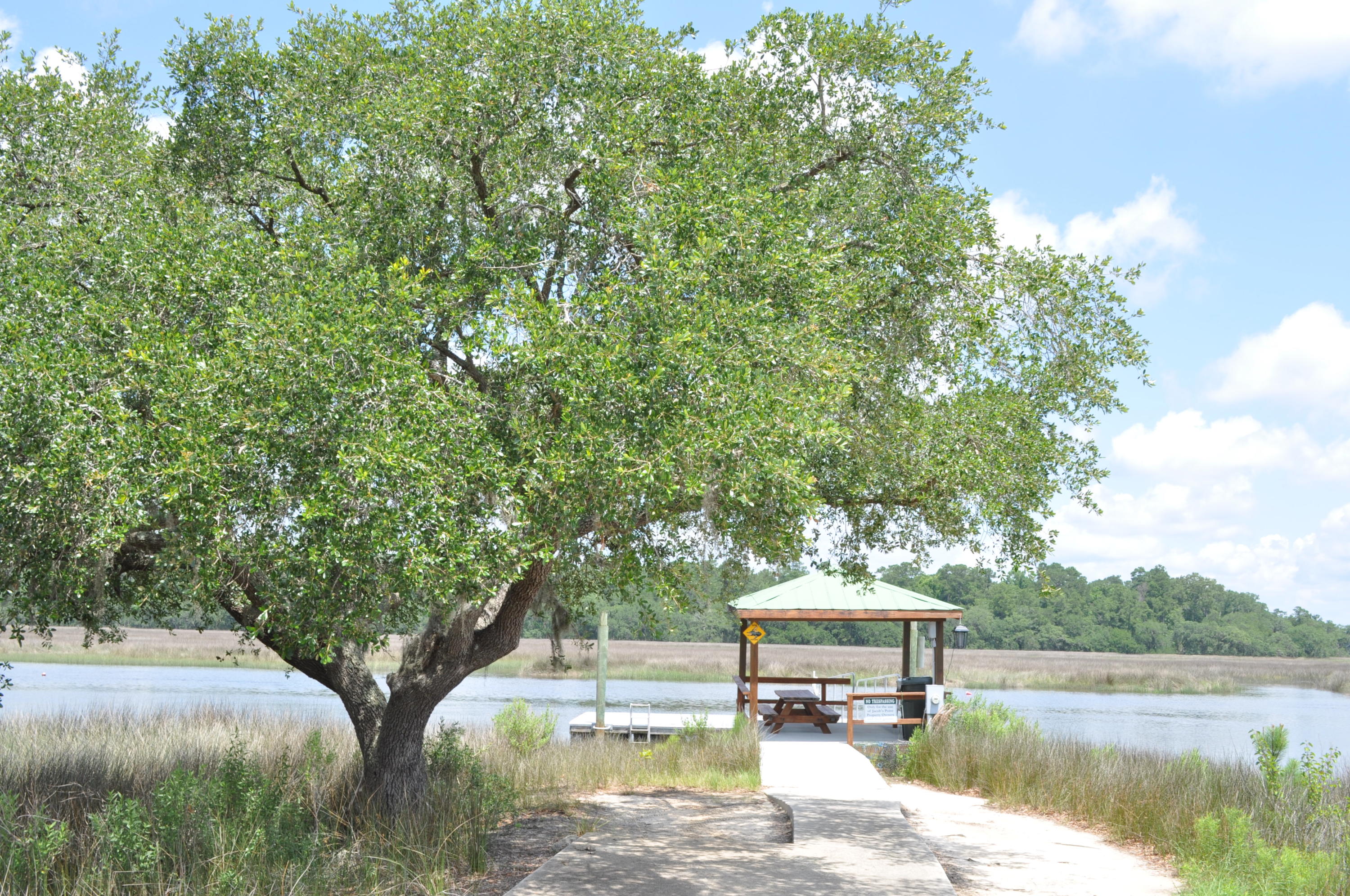 8 Jacob's Point Boulevard Ravenel, SC 29470 - Photo 13 of 20 DSC_3311