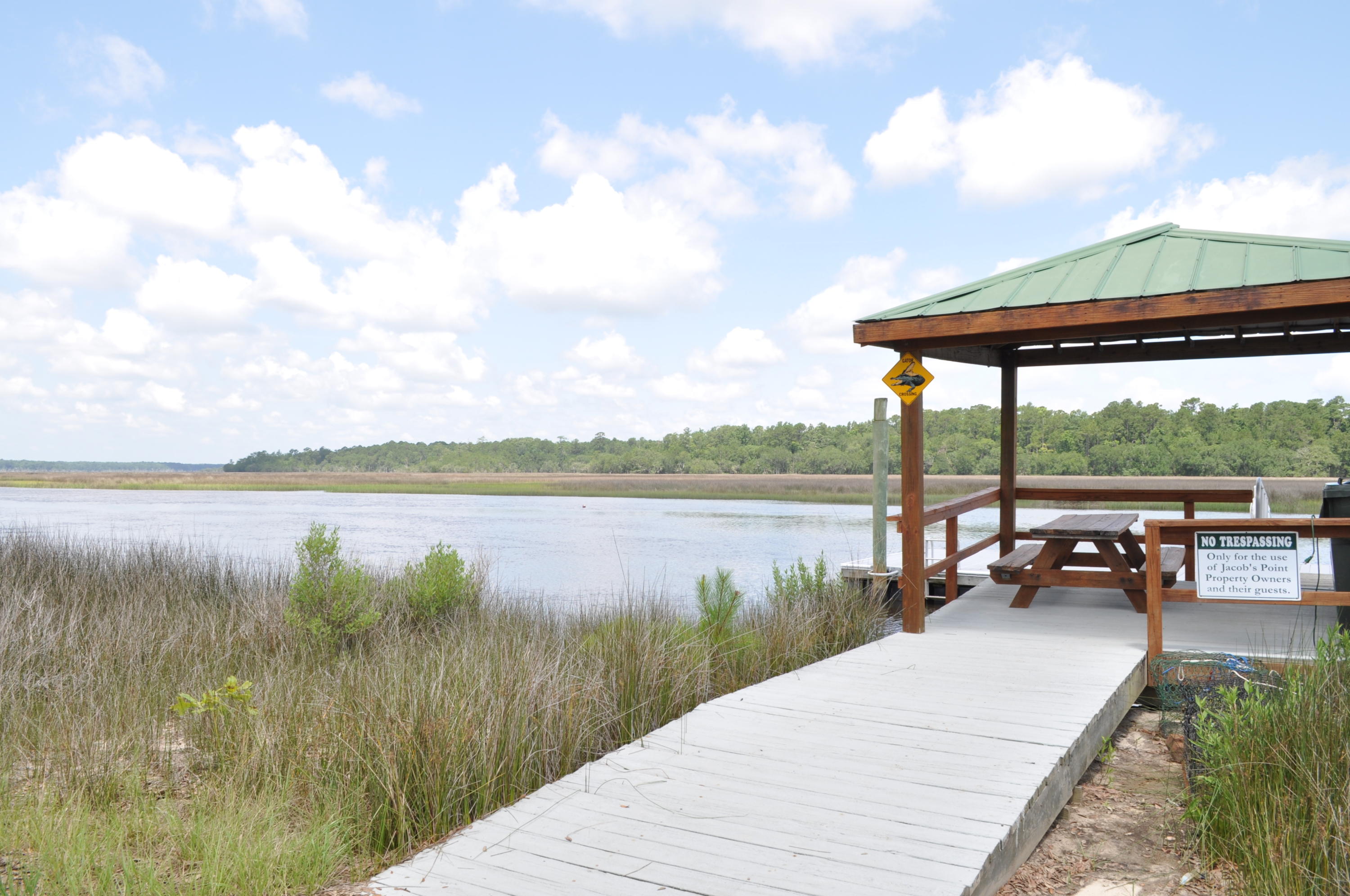 8 Jacob's Point Boulevard Ravenel, SC 29470 - Photo 15 of 20 DSC_3303