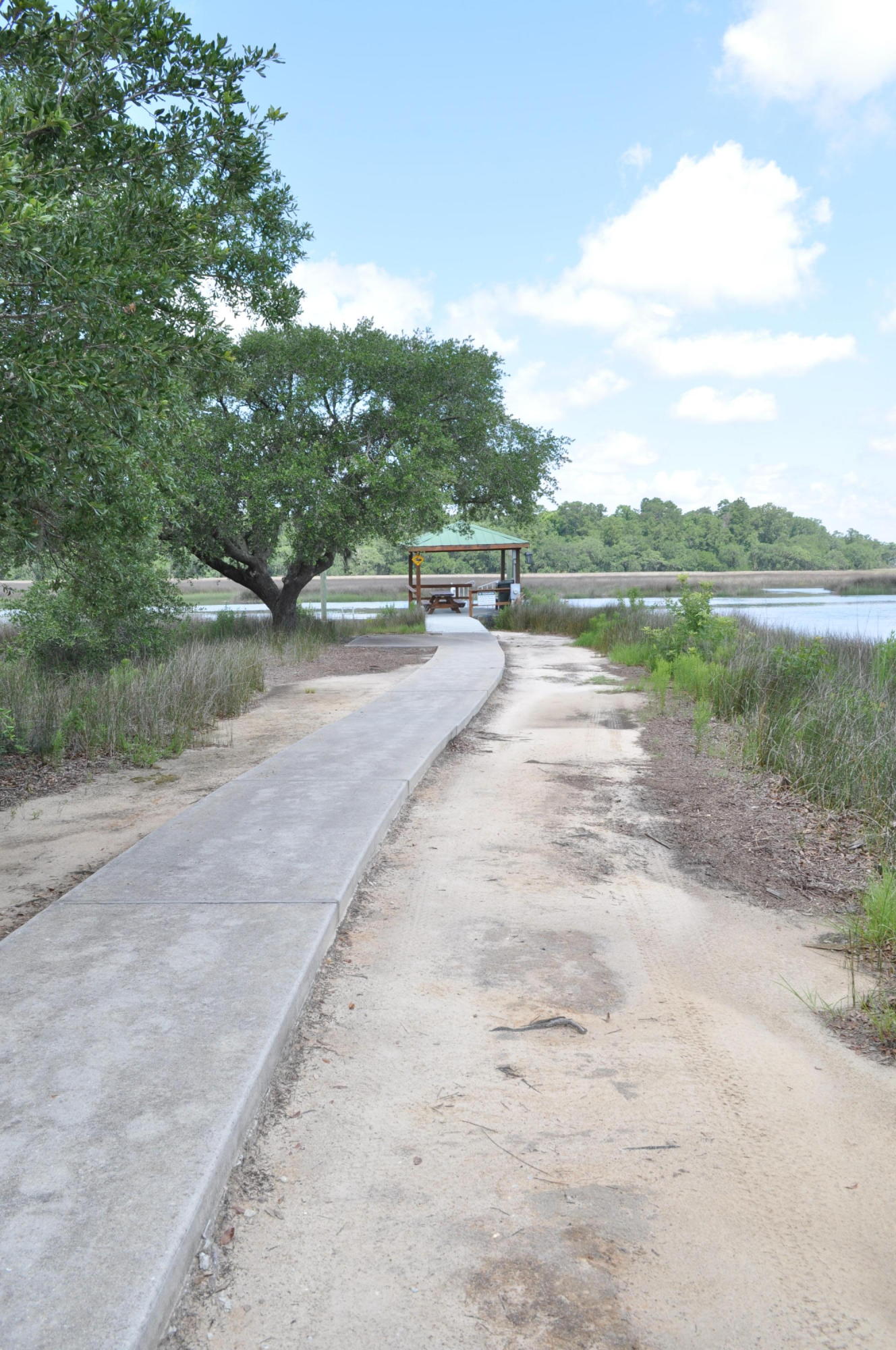8 Jacob's Point Boulevard Ravenel, SC 29470 - Photo 16 of 20 DSC_3301 - Copy