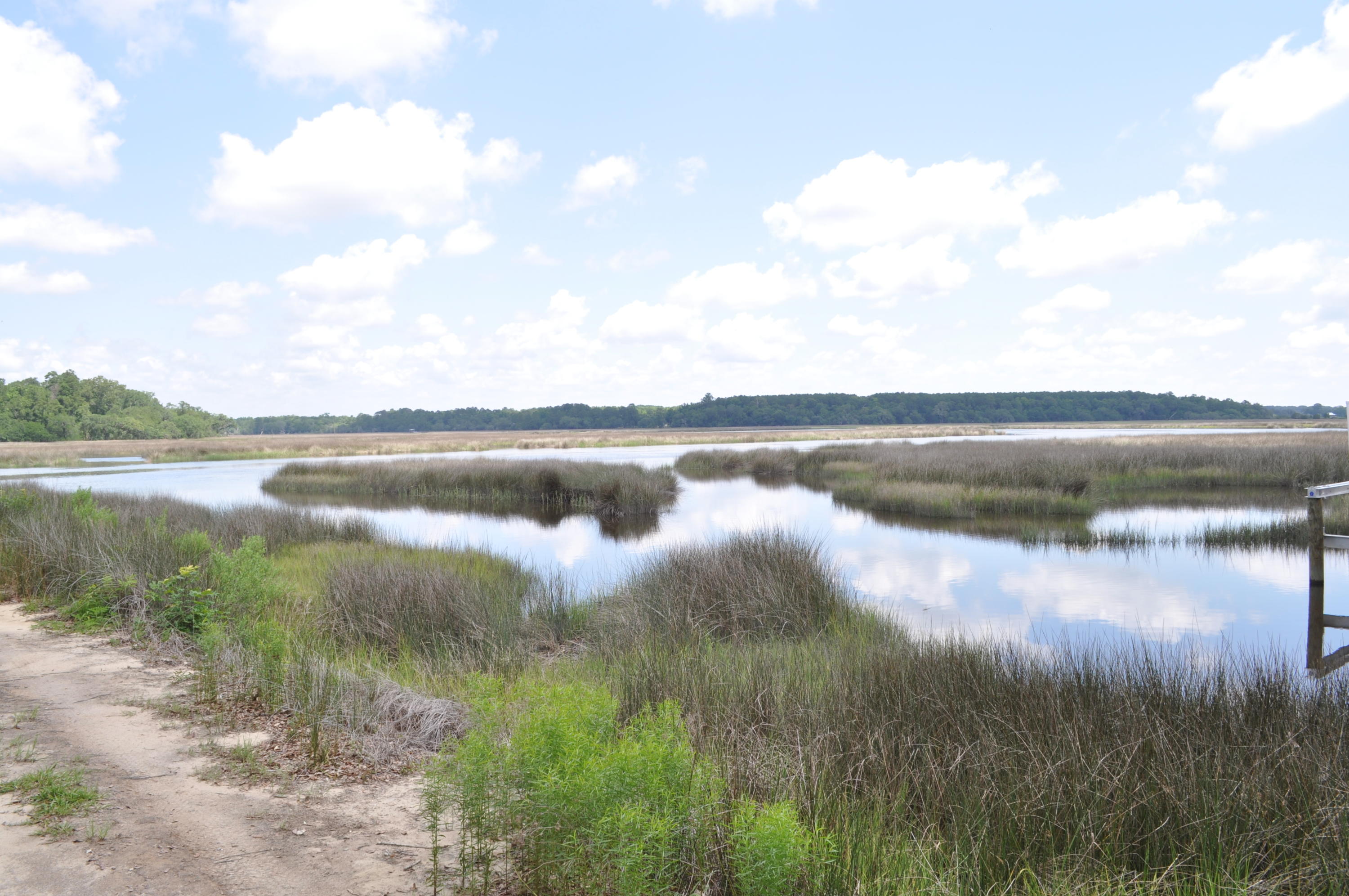 8 Jacob's Point Boulevard Ravenel, SC 29470 - Photo 17 of 20 DSC_3299