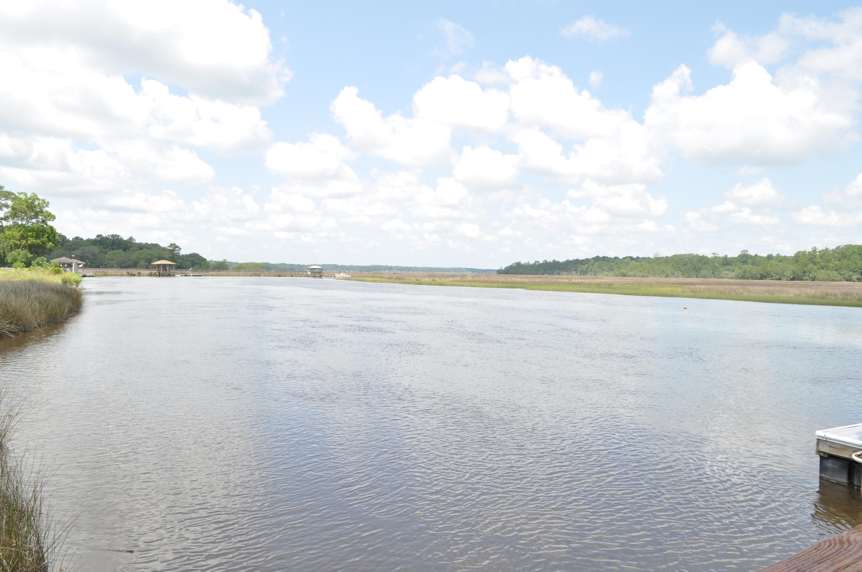 8 Jacob's Point Boulevard Ravenel, SC 29470 - Photo 18 of 20 DSC_3304