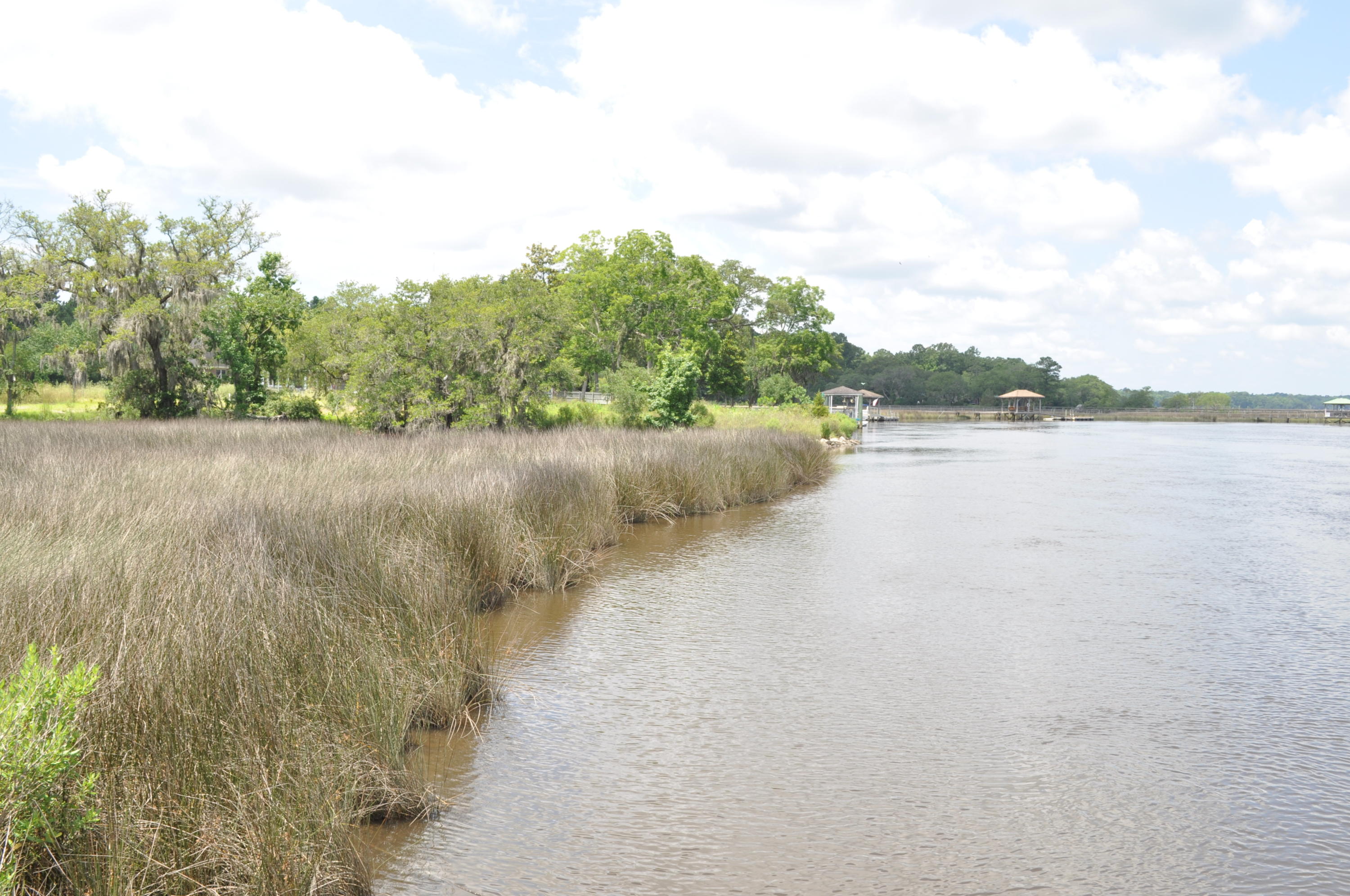 8 Jacob's Point Boulevard Ravenel, SC 29470 - Photo 19 of 20 DSC_3307
