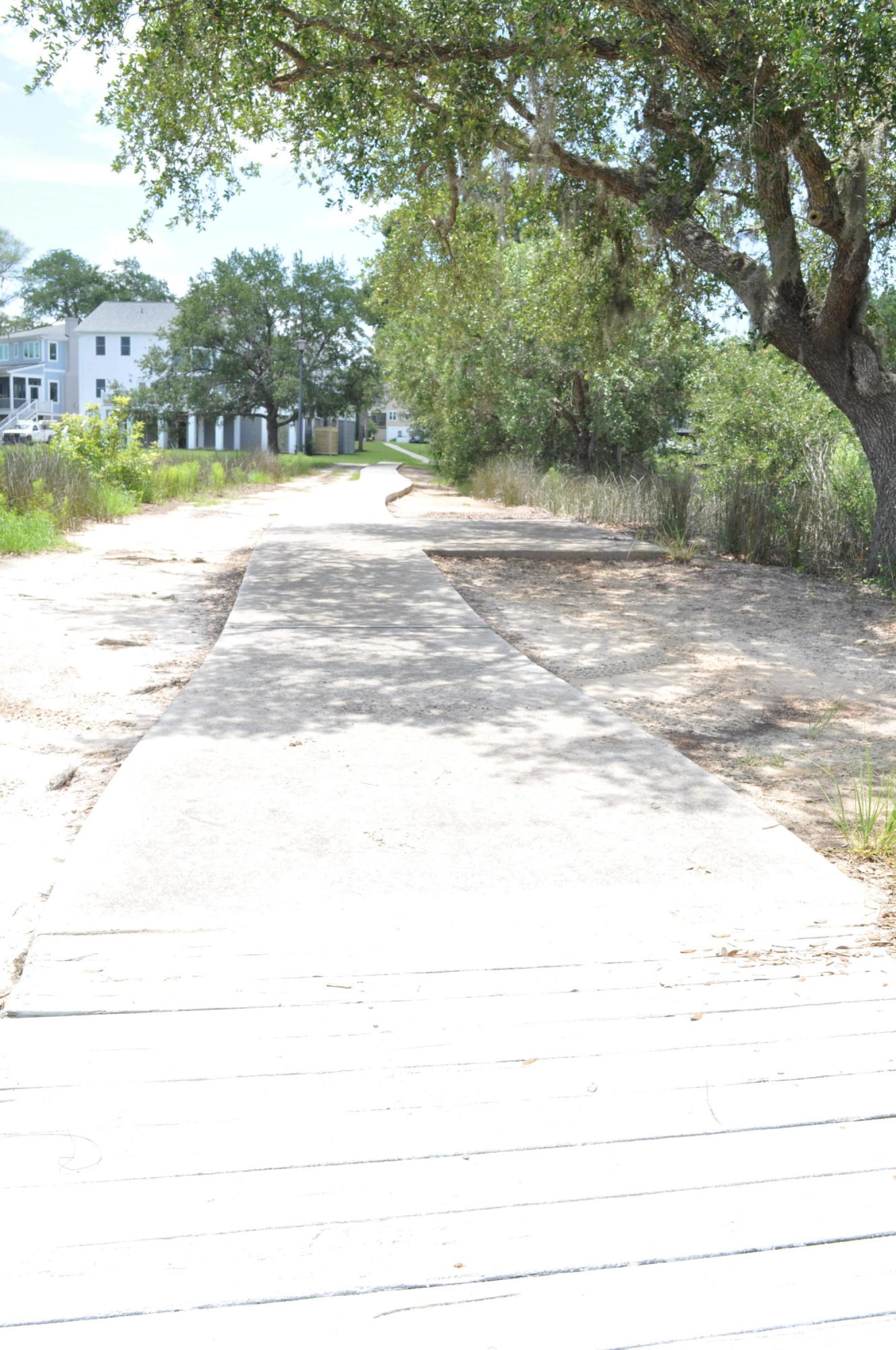 8 Jacob's Point Boulevard Ravenel, SC 29470 - Photo 20 of 20 DSC_3309