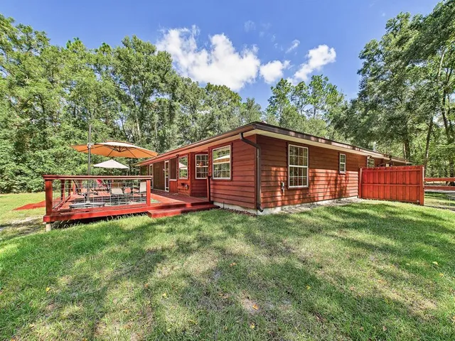 a view of a tree in the middle of a yard