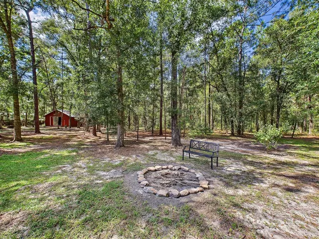 a view of a backyard with a small cabin and a chair
