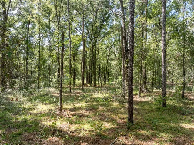 a view of outdoor space and trees