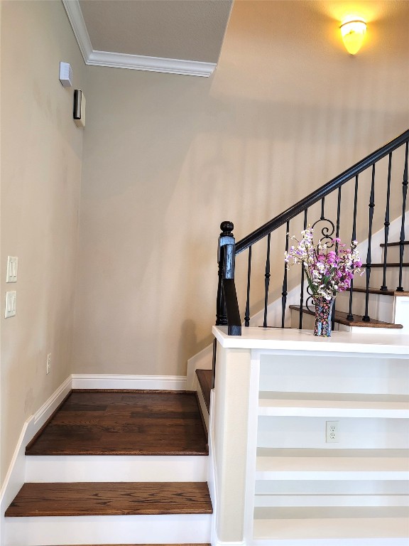 1508 Fowler Street Houston, TX 77007 - Photo 28 of 50 wrought iron stair spindles leading to the 3rd floor