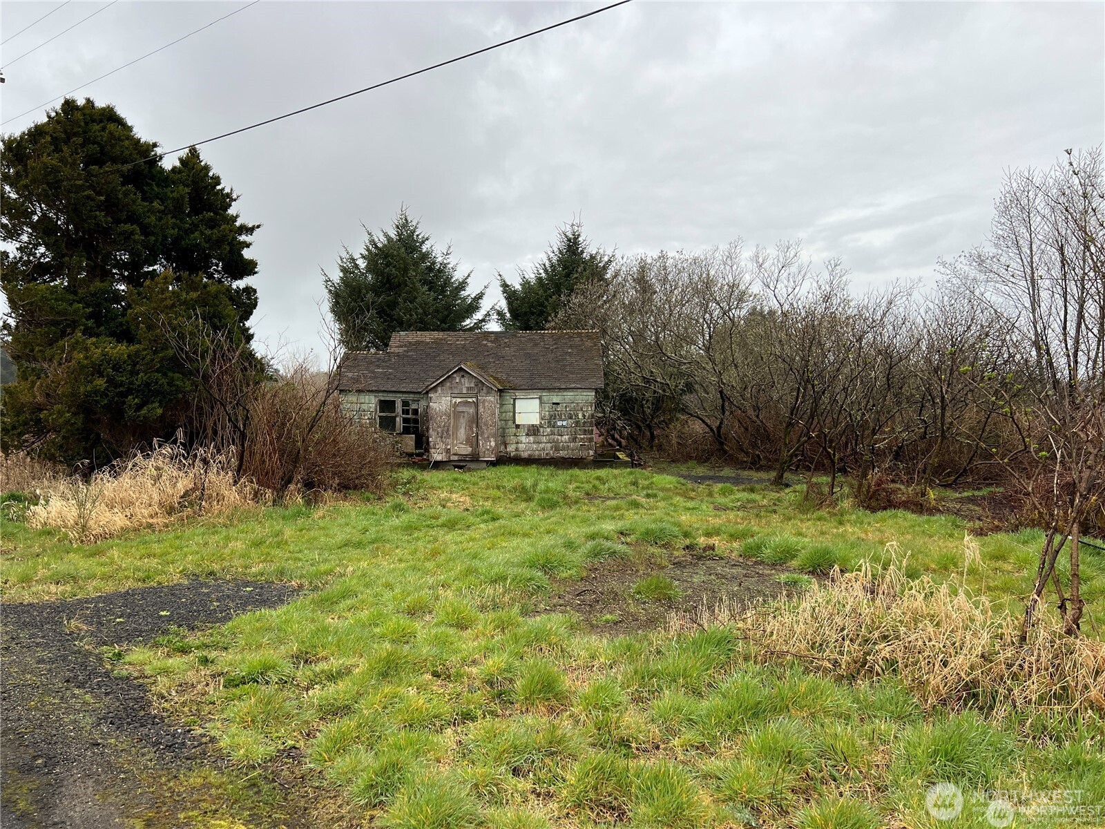 2361 Evergreen Park Road Grayland, WA 98547 - Photo 1 of 6