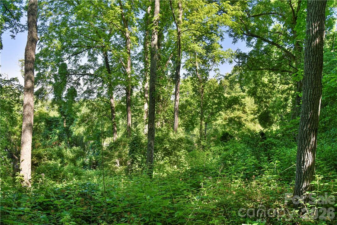 415 Weaverville Road Asheville, NC 28804 - Photo 14 of 47