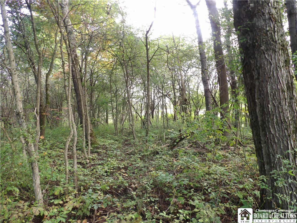 0 Cabbage Hill Road Clymer, NY 14724 - Photo 15 of 20