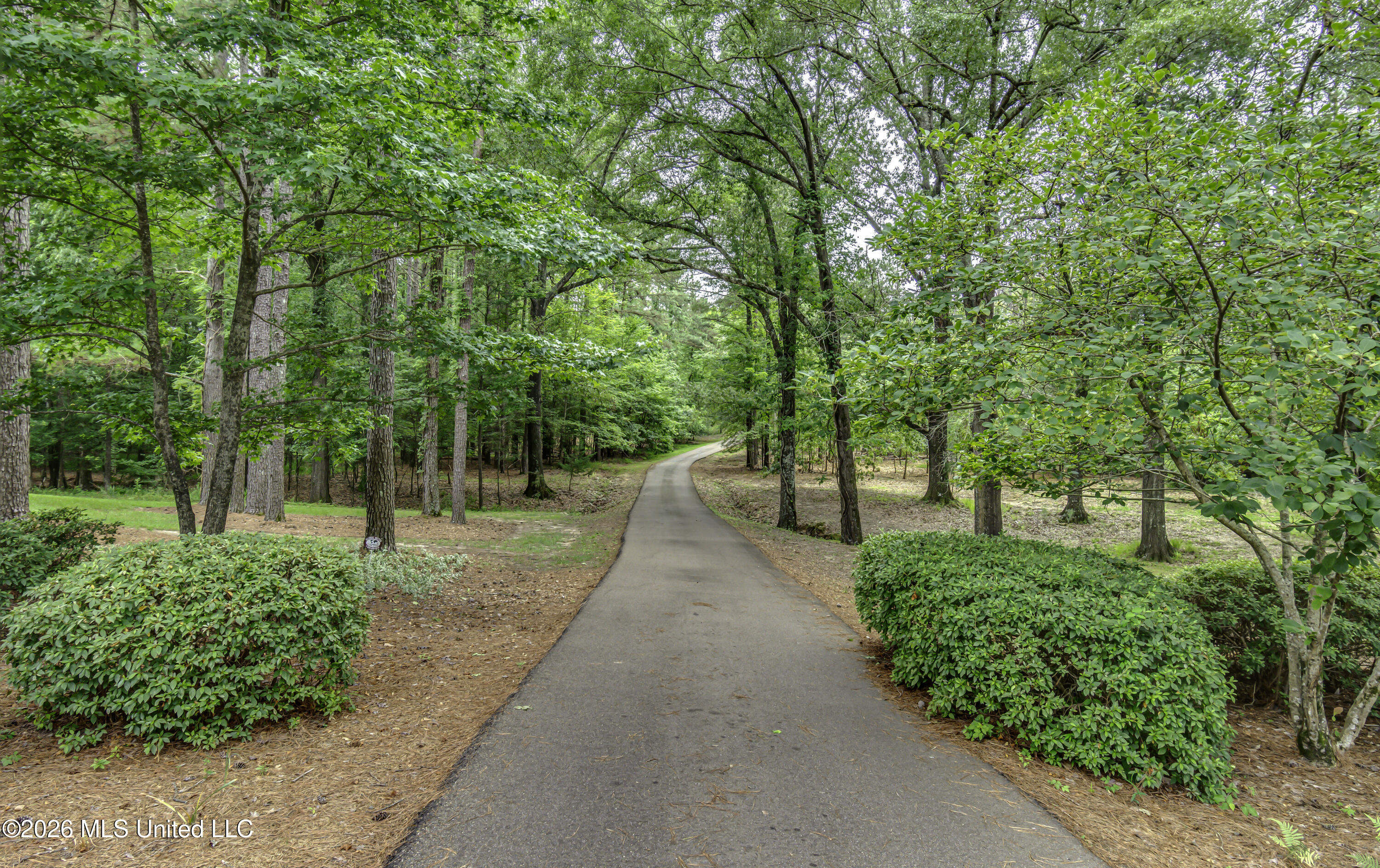 251 Highland Meadow Road Flora, MS 39071 - Photo 71 of 89 251 Highland Meadow Rd--116