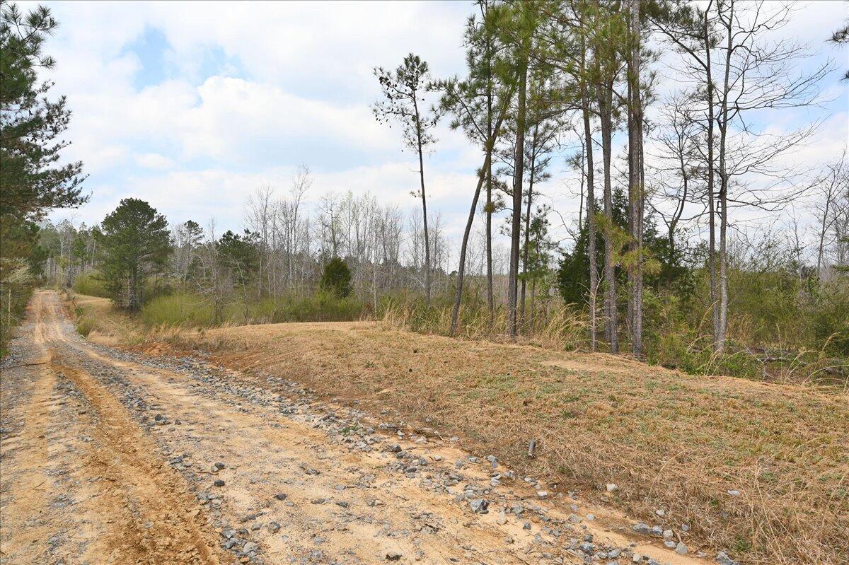 0 Co Road Vinemont, AL 35179 - Photo 2 of 28 Gallery Image 2