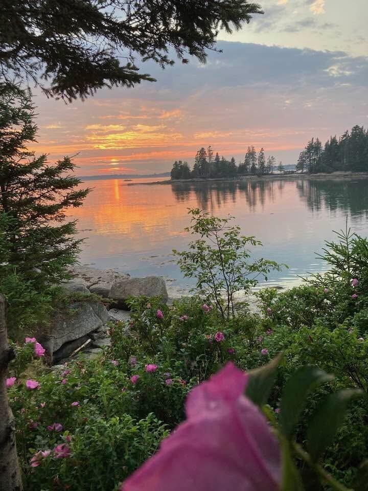 86 Mill Pond Road Beals, ME 04611 - Photo 5 of 87 IMG_0983