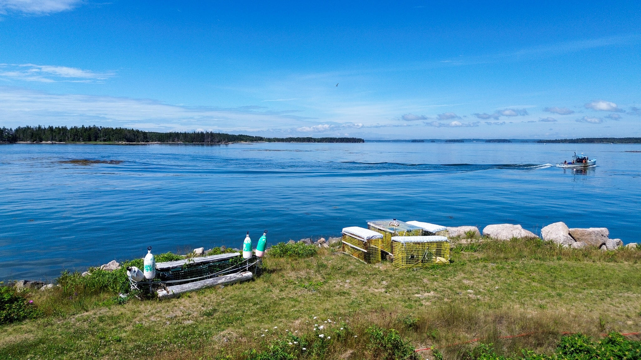 86 Mill Pond Road Beals, ME 04611 - Photo 54 of 87 118