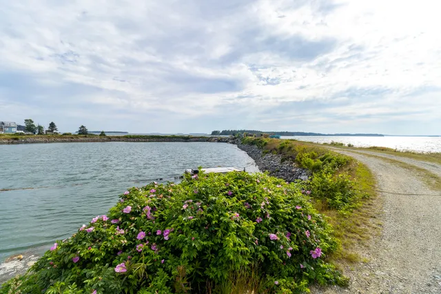 $1,300,000 | 86 Mill Pond Road, Beals, ME 04611