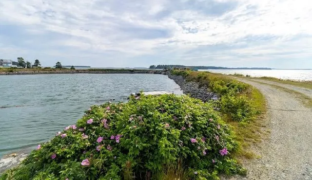 $1,300,000 | 86 Mill Pond Road, Beals, ME 04611