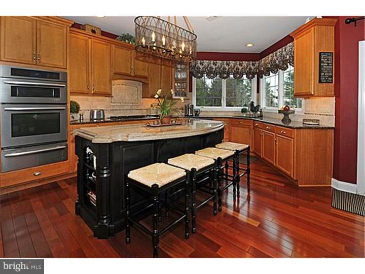 223 Green Valley Road Exton, PA 19341 - Photo 3 of 25 Kitchen