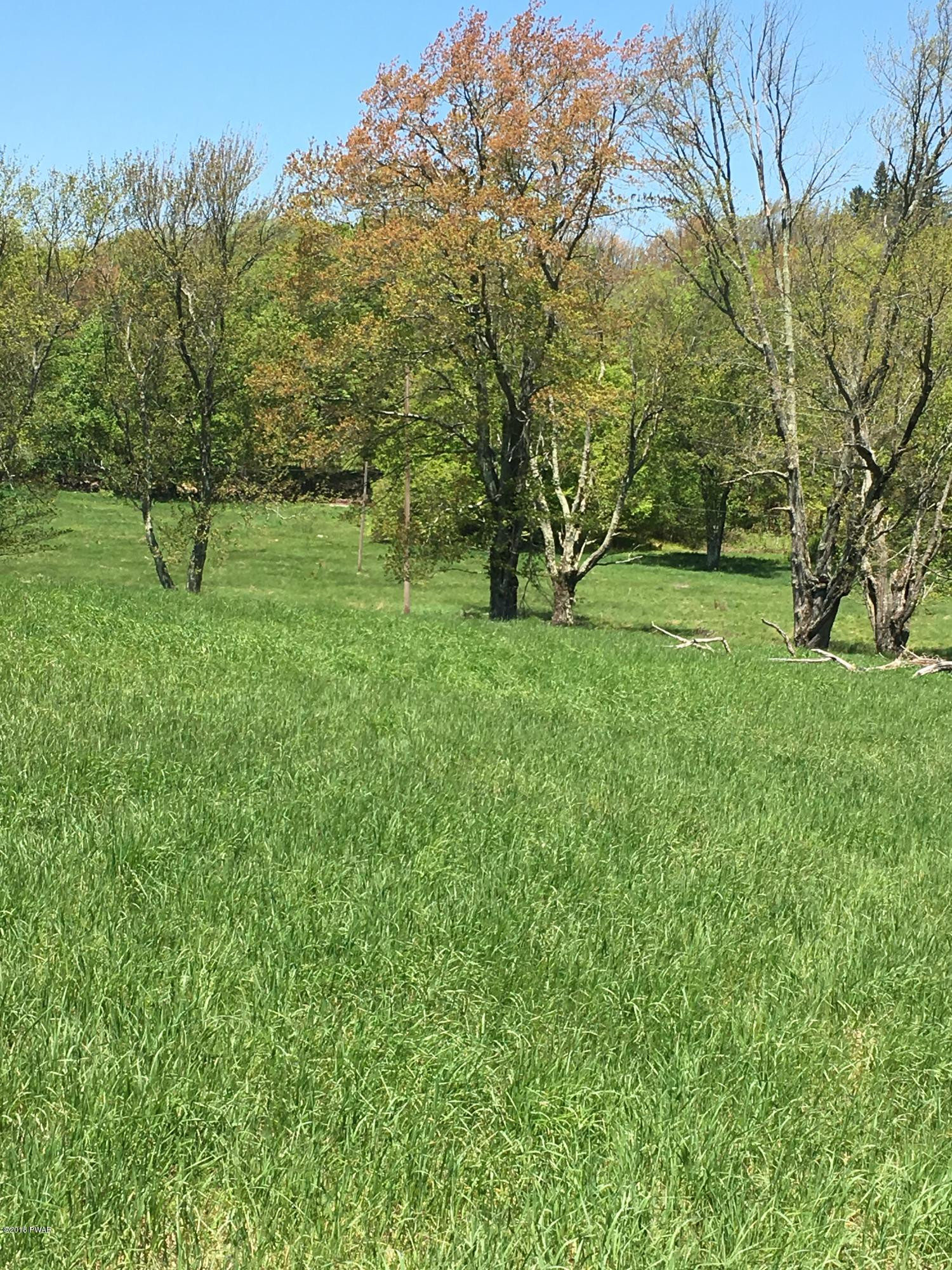 Dillmuth Road Honesdale, PA 18431 - Photo 3 of 6