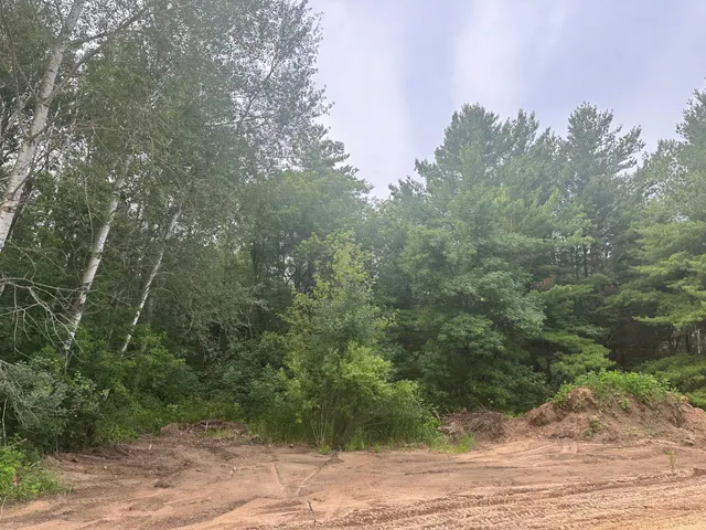 $44,900 | Lot 14-blk Brummer Drive, Randall, MN 56475