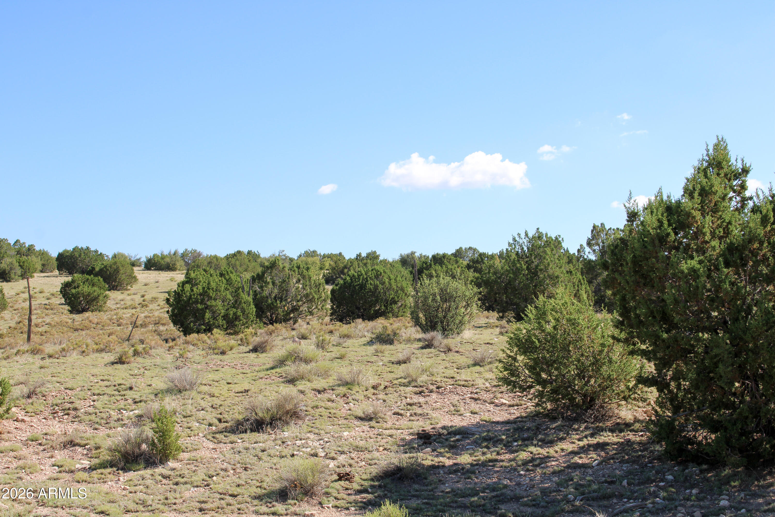 9360 Latigo Road Williams, AZ 86046 - Photo 9 of 16 a view of a snow on a field