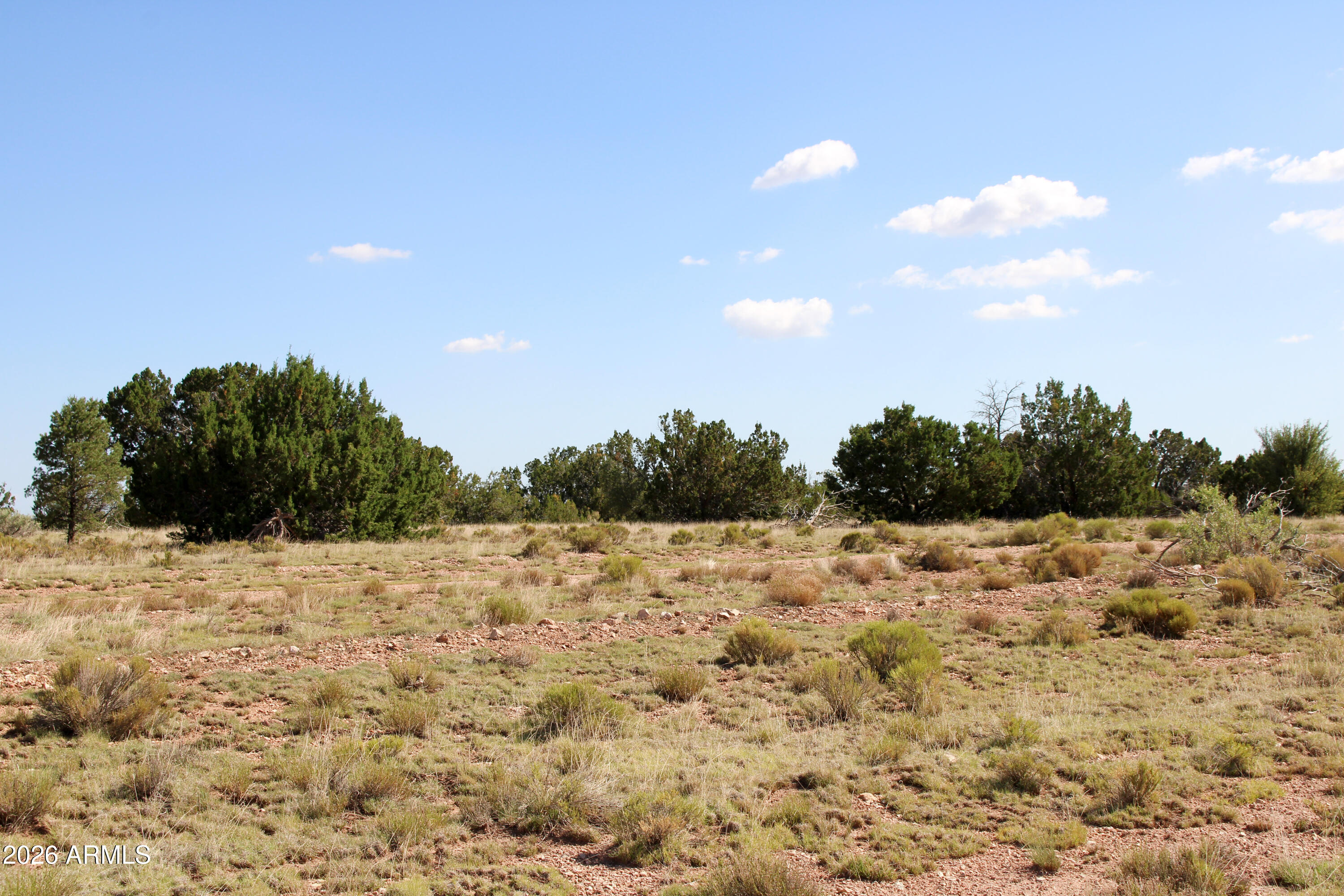 9360 Latigo Road Williams, AZ 86046 - Photo 10 of 16 a view of a snow on the beach