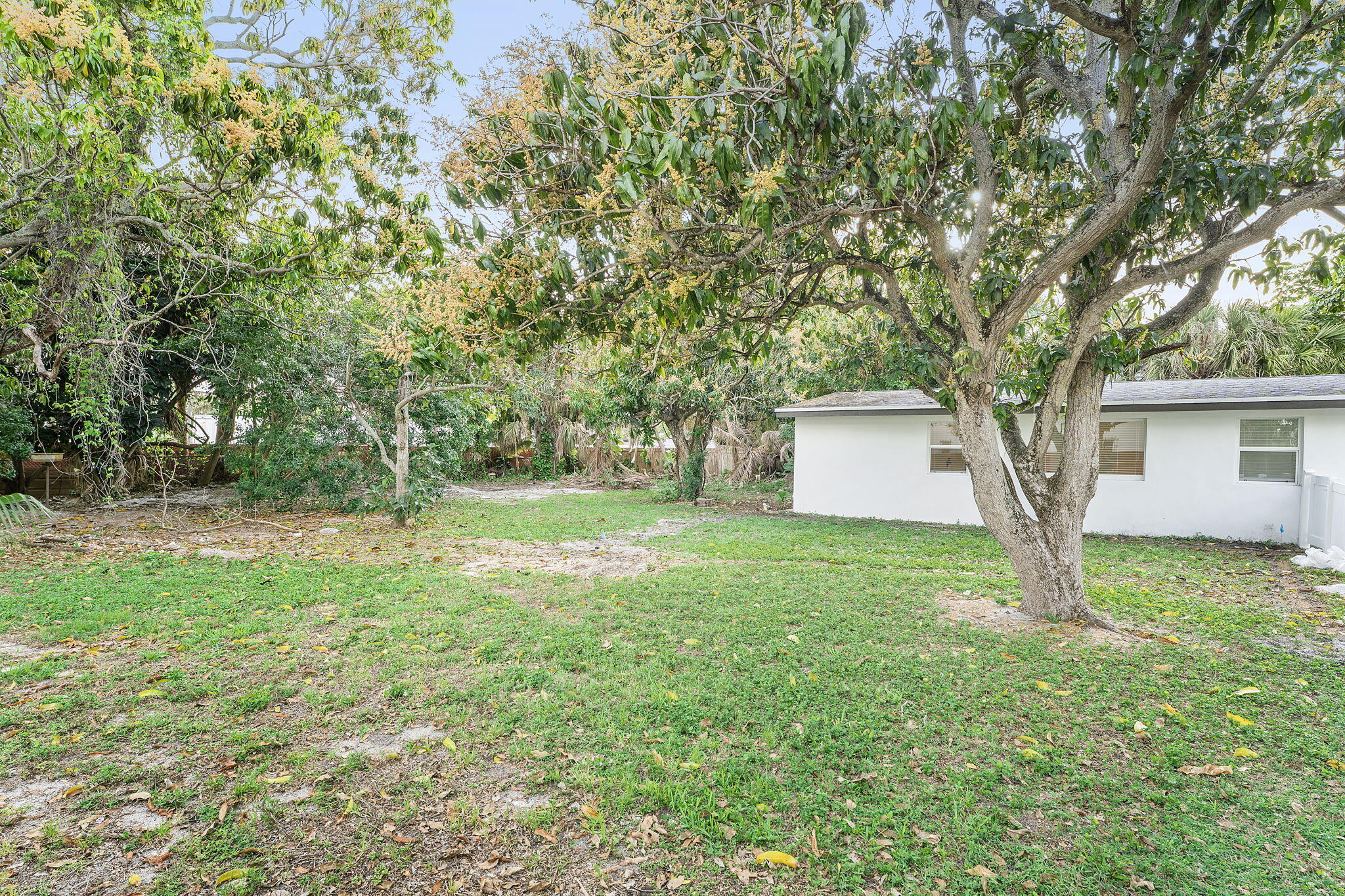 474 Enfield Street Boca Raton, FL 33487 - Photo 14 of 40 a view of a house with yard and a tree