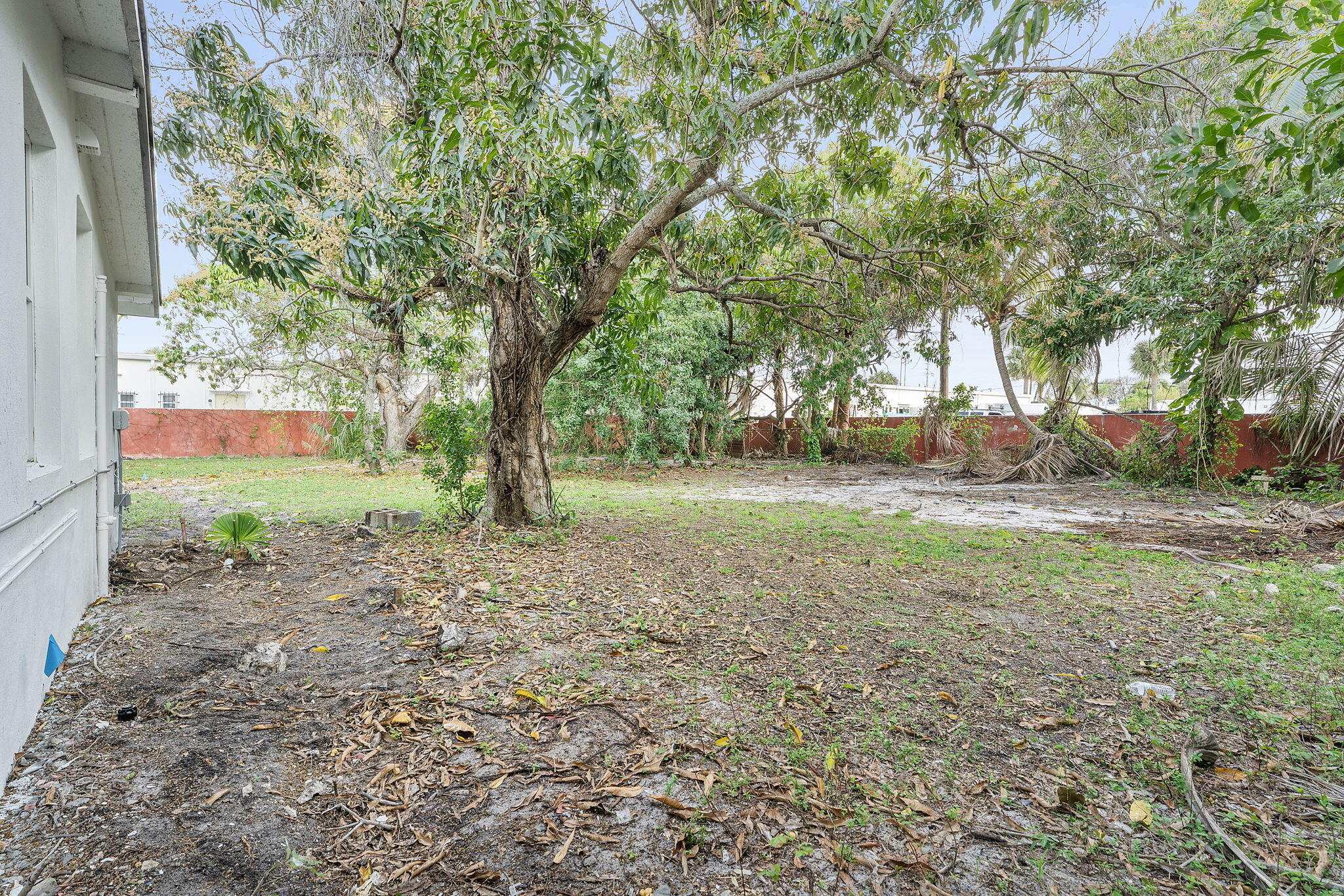 474 Enfield Street Boca Raton, FL 33487 - Photo 16 of 40 a view of a yard with plants and trees