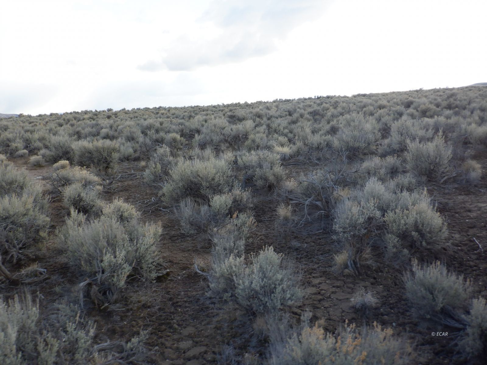 33-3 7th Street Elko, NV 89801 - Photo 10 of 15