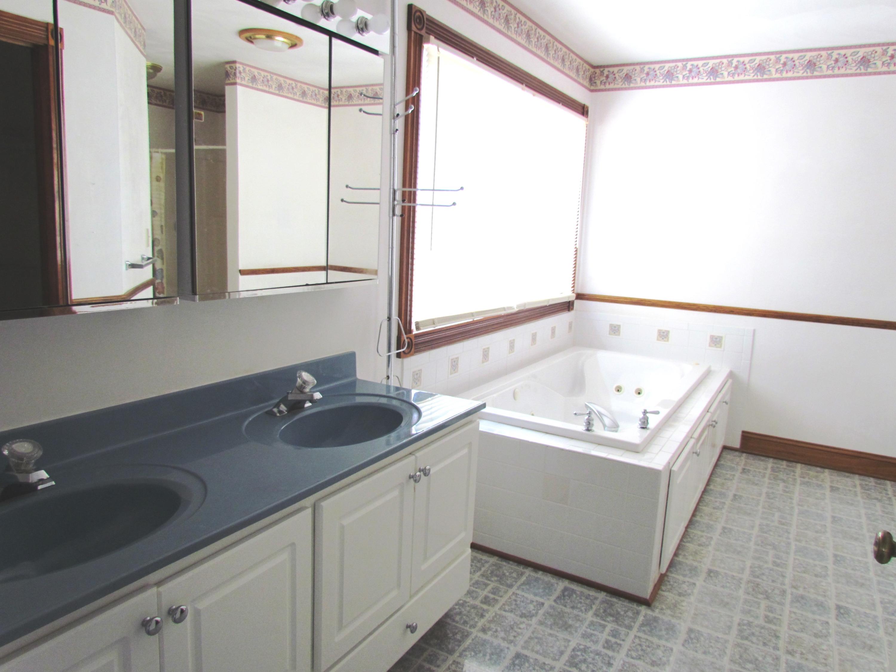 429 Monty Road Boones Mill, VA 24065 - Photo 14 of 35 Master Bath Jetted Tub and