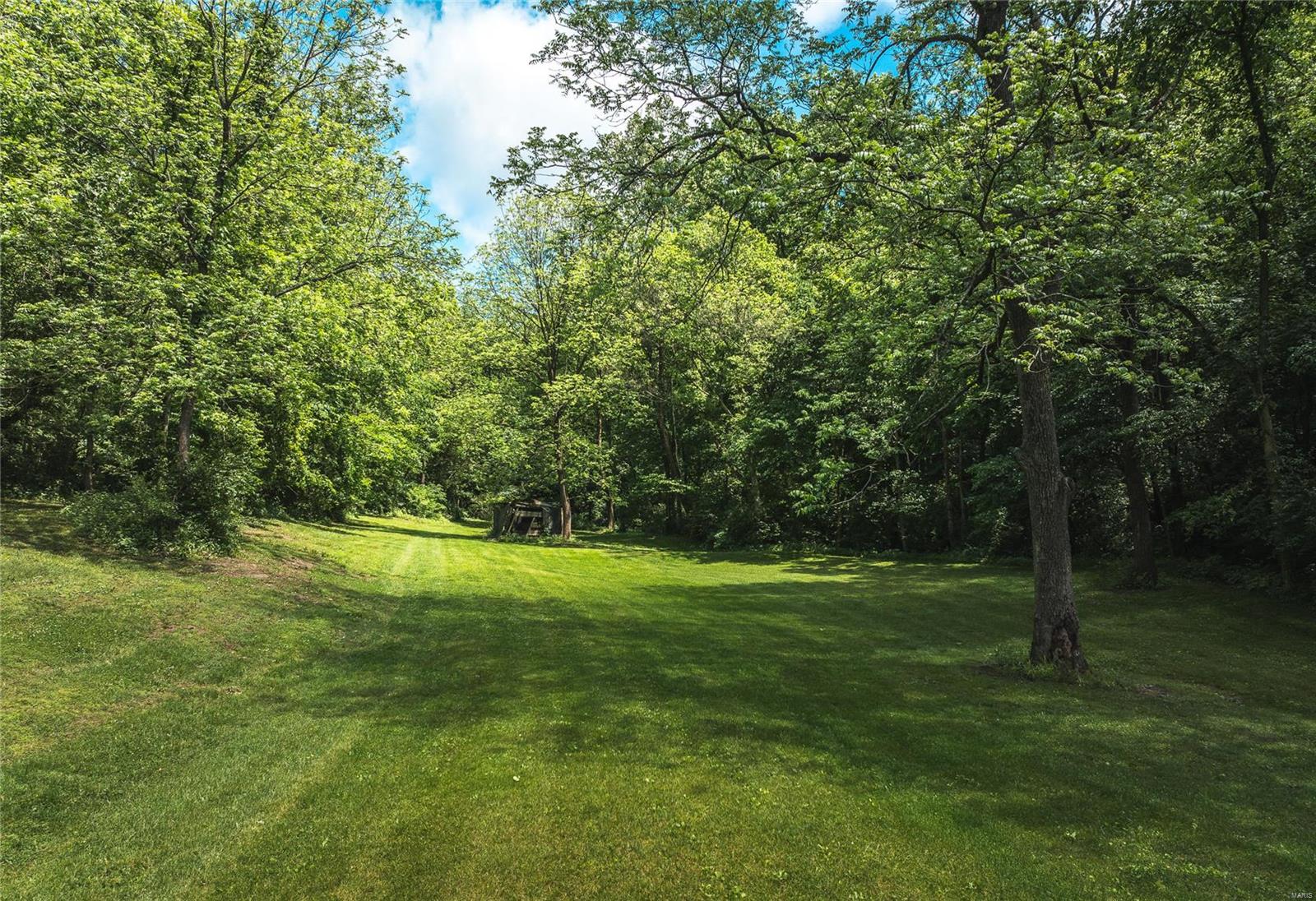 247 Spankey Road Eldred, IL 62027 - Photo 13 of 29