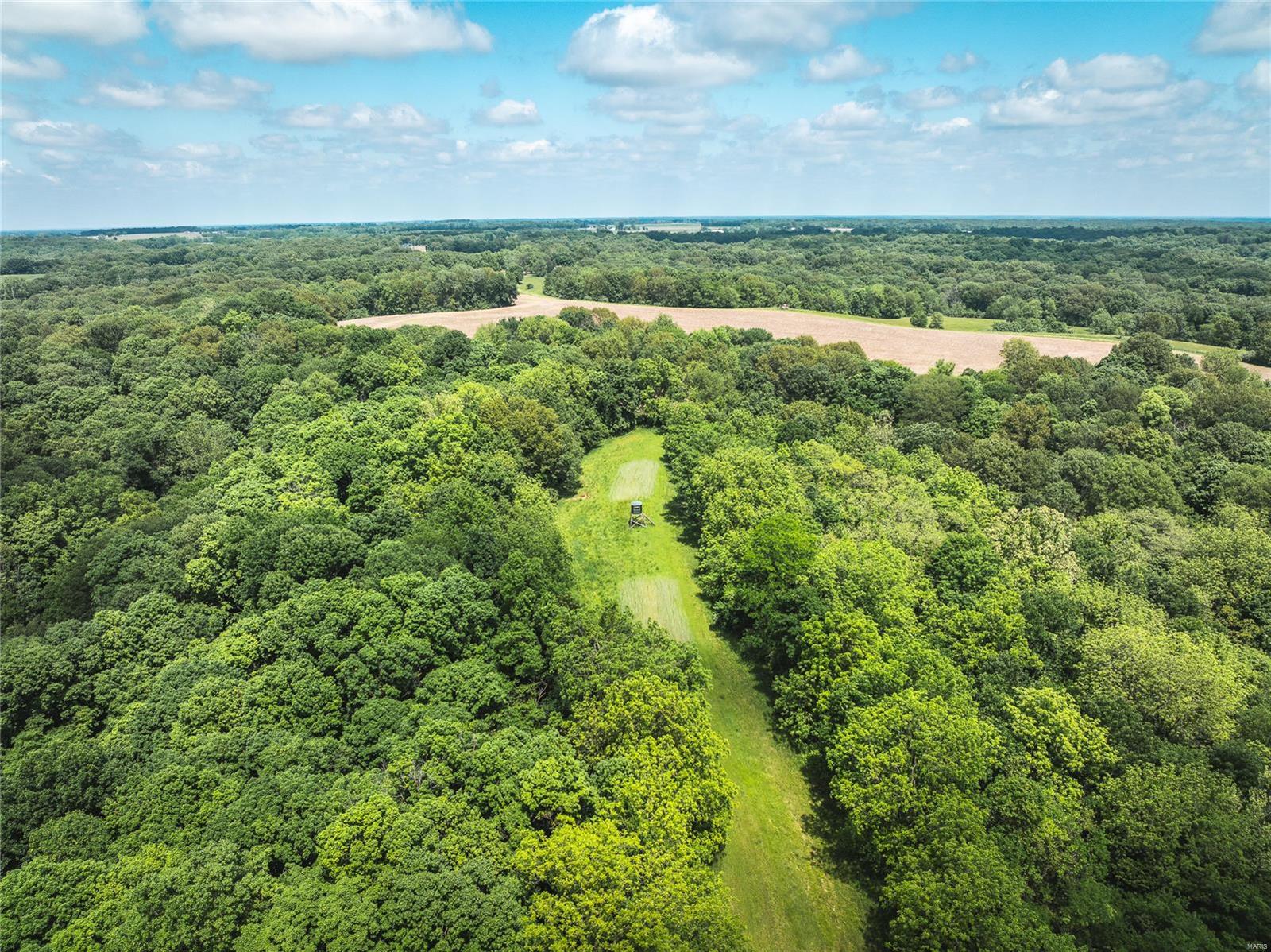 247 Spankey Road Eldred, IL 62027 - Photo 4 of 29