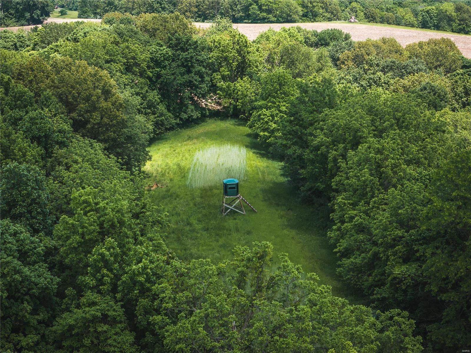 247 Spankey Road Eldred, IL 62027 - Photo 5 of 29