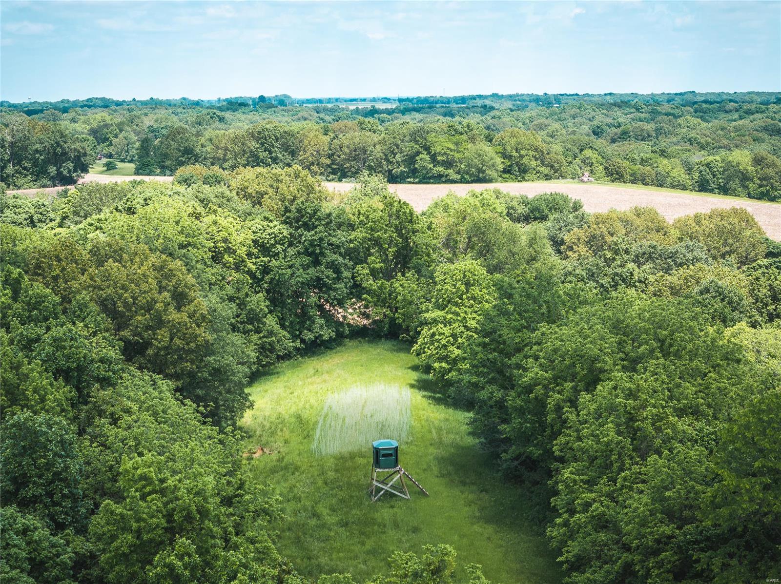 247 Spankey Road Eldred, IL 62027 - Photo 6 of 29