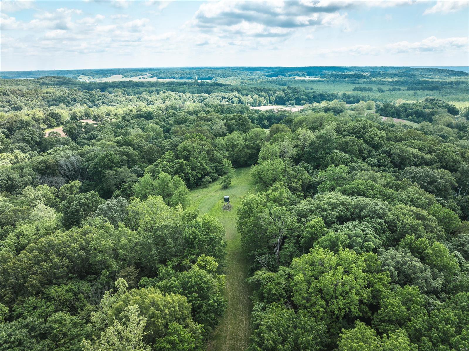 247 Spankey Road Eldred, IL 62027 - Photo 7 of 29