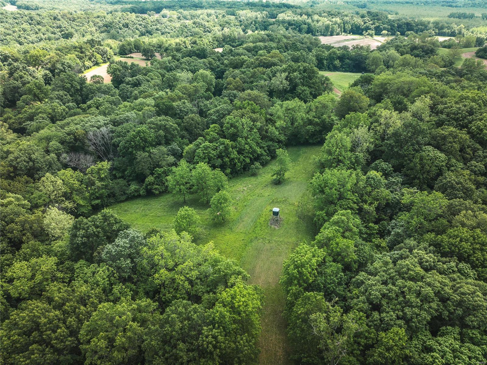 247 Spankey Road Eldred, IL 62027 - Photo 8 of 29