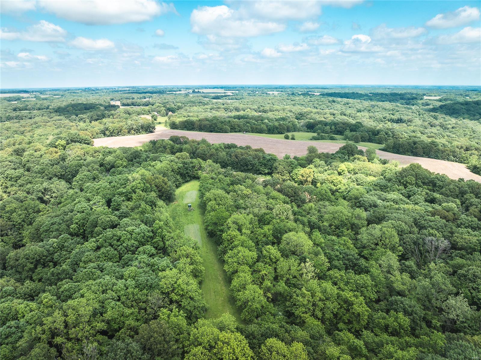 247 Spankey Road Eldred, IL 62027 - Photo 9 of 29