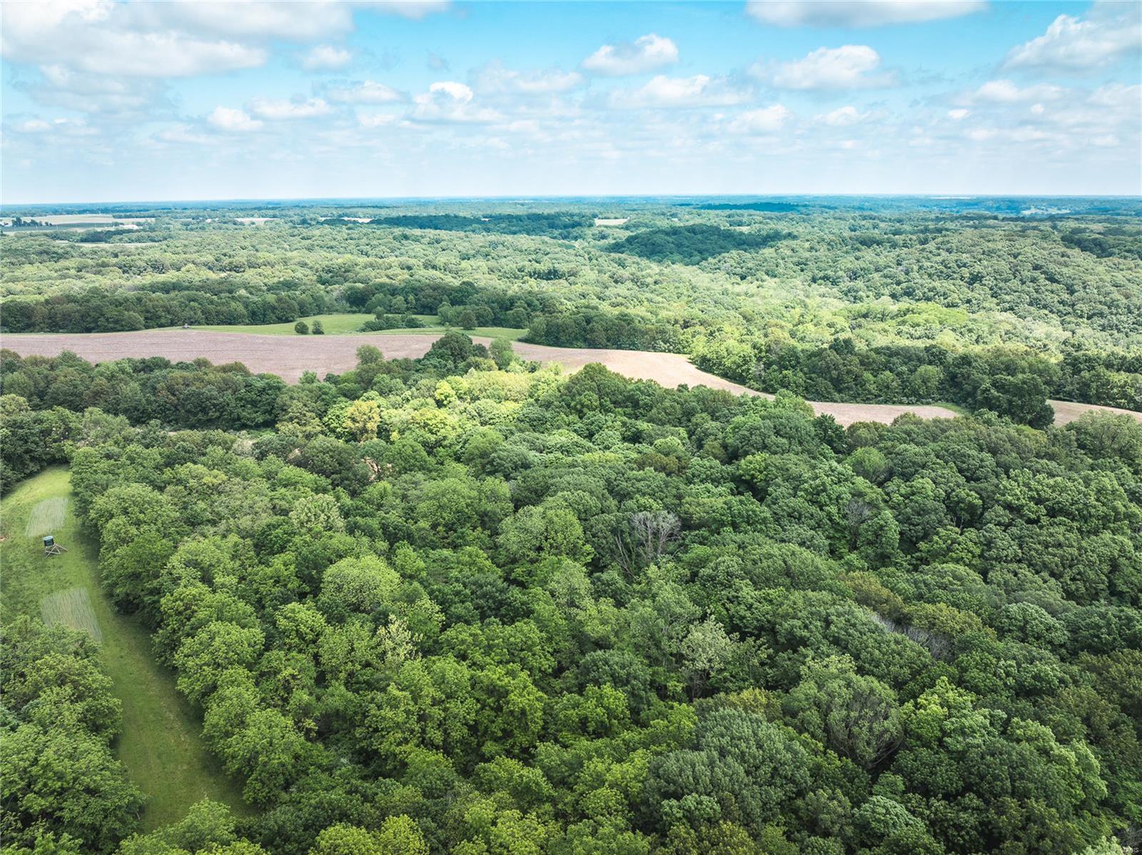 247 Spankey Road Eldred, IL 62027 - Photo 10 of 29