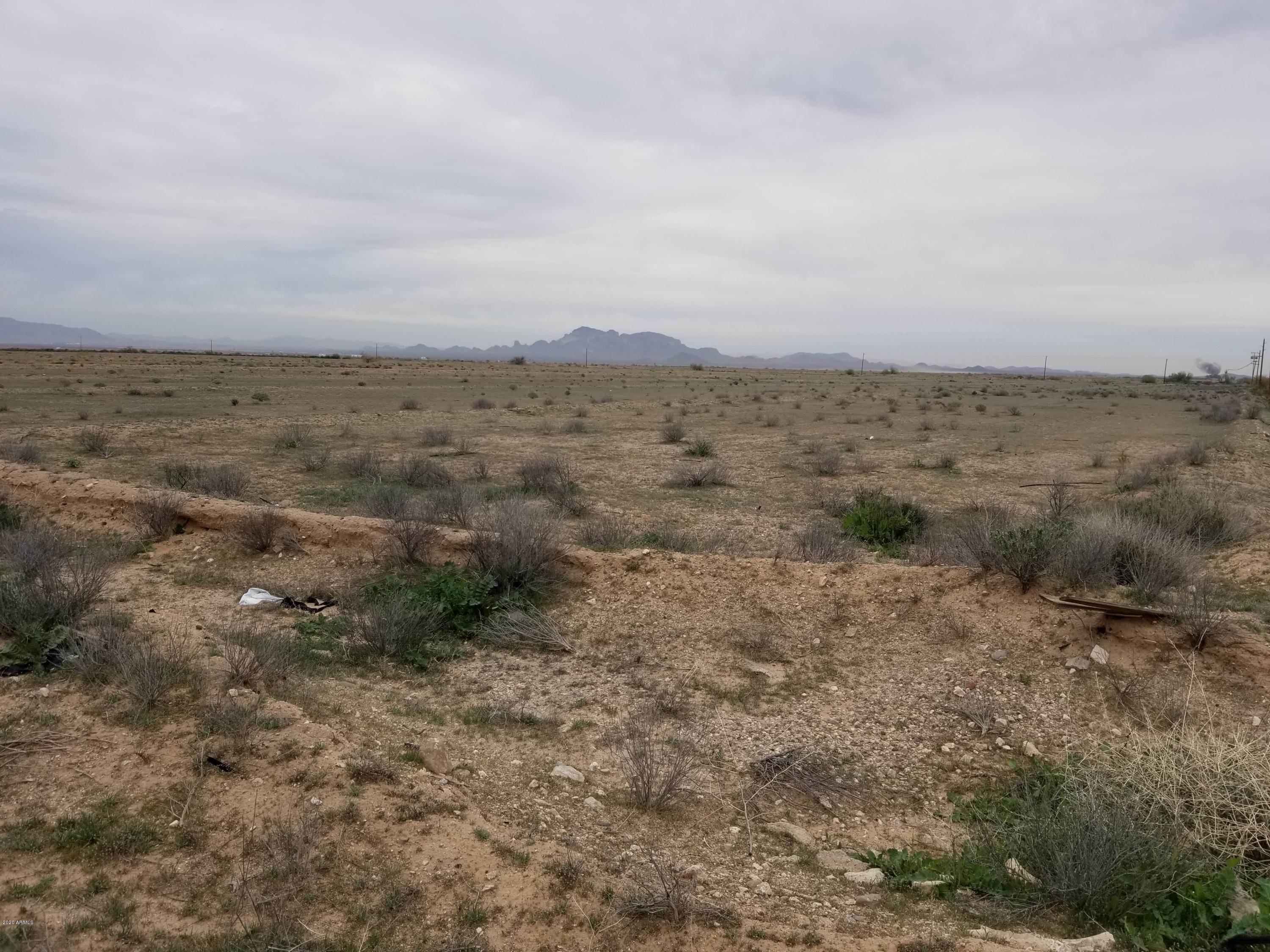 0 West Elliot Road Tonopah, AZ 85354 - Photo 6 of 25 a view of a field with trees in background