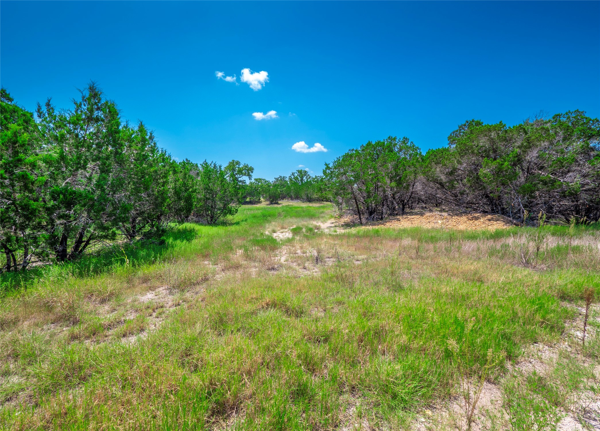 193 Garner Rnch Road Bertram, TX 78605 - Photo 8 of 18