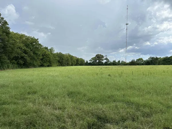 a view of a field with an ocean