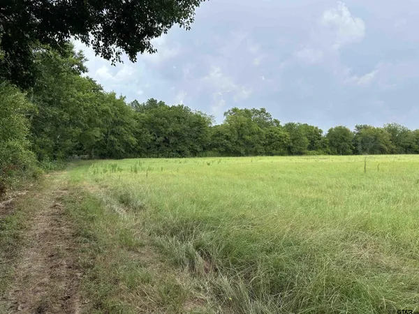 a view of a field with a tree in the background