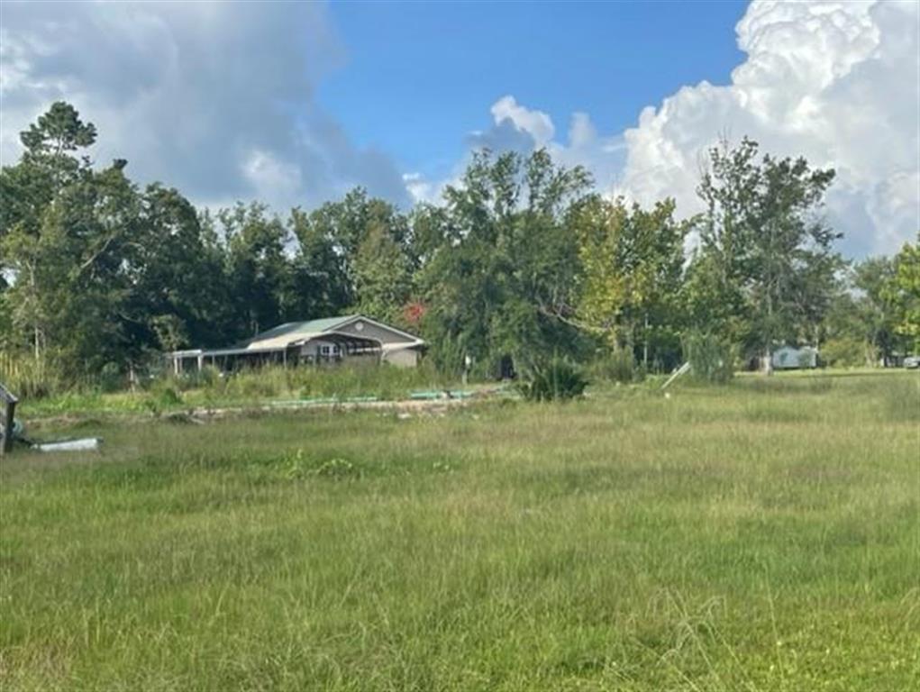 225 Briar Marsh Road Ragley, LA 70657 - Photo 2 of 3
