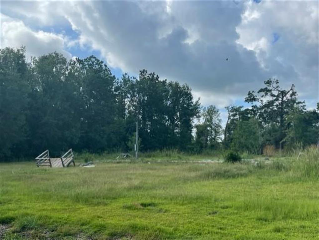 225 Briar Marsh Road Ragley, LA 70657 - Photo 3 of 3