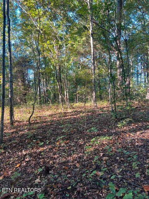 196 Woodstock Drive, Unit LOT #176 Rutledge, TN 37861 - Photo 2 of 5 de7bb046859cb44af2894bc3c97720a4